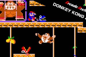 街机档案：小金刚 Arcade Archives DONKEY KONG JR