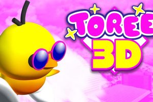 Toree 3D