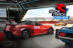 赛道车手 Race Track Driver