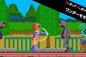 Arcade Archives WONDER MOMO
