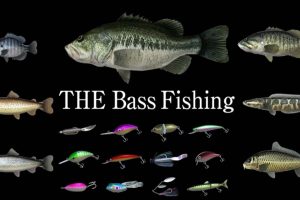 路亚钓鲈 THE Bass Fishing