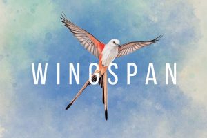 展翅翱翔 Wingspan