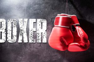 拳击手 Boxer