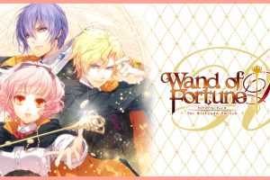 幸运之杖R ワンド オブ フォーチュン Ｒ for Nintendo Switch