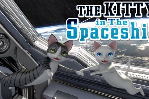 宇宙飞船中的小猫 THE KITTY in The Spaceship