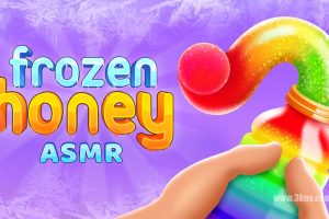 【美版】冷冻蜂蜜 .Frozen Honey