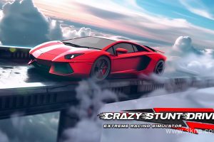 【美版】疯狂特技驾驶员:极限赛车模拟器 .Crazy Stunt Driver: Extreme Racing Simulator