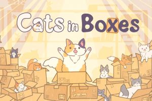 【美版】盒中猫 .Cats in Boxes