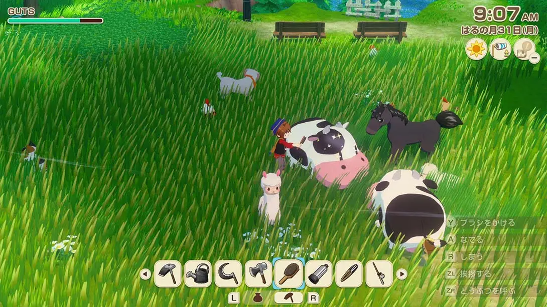 牧场物语 风之集会（1.0.3）金手指截图