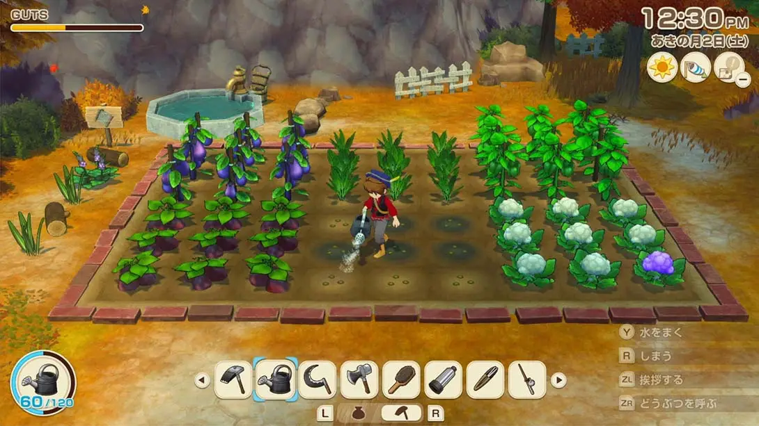 牧场物语 风之集会（1.0.4）金手指截图